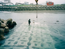 Hokkaido Shirao Coastbank Breakwater